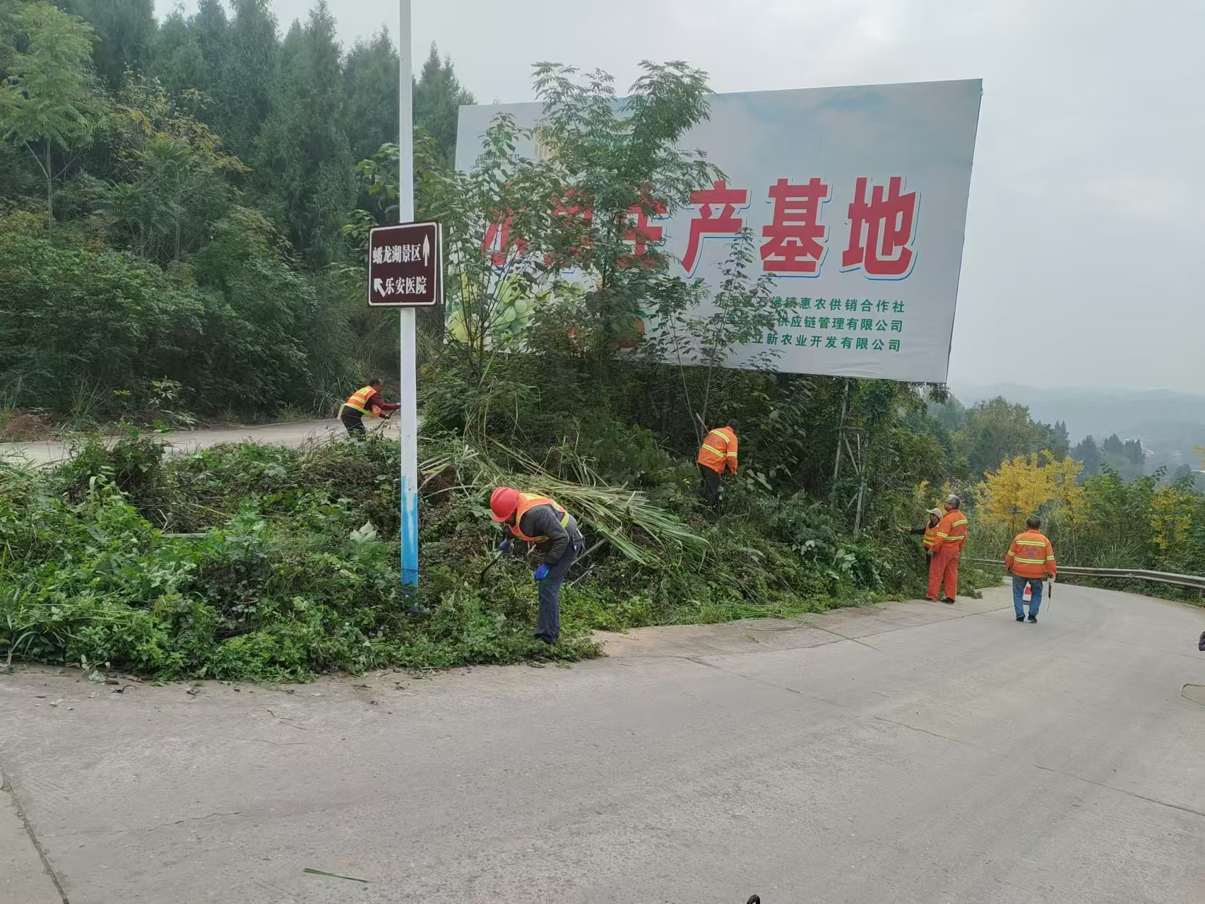 图片3 图片3